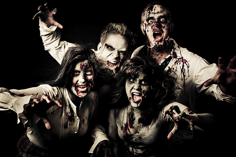 Ready to Go on a Haunted Woods Zombie Hunt?