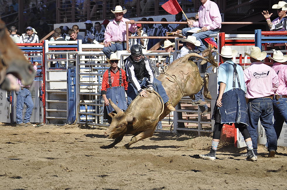 2023 Angola Prison Rodeo Returns Every Sunday in October