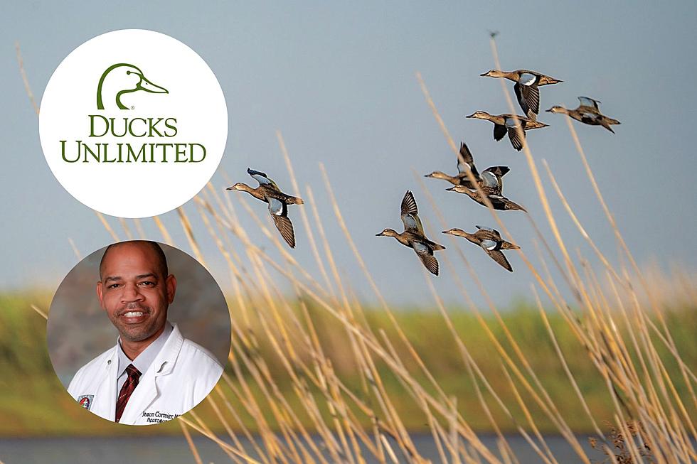 Lafayette, Louisiana Doctor Elected to Board of Ducks Unlimited