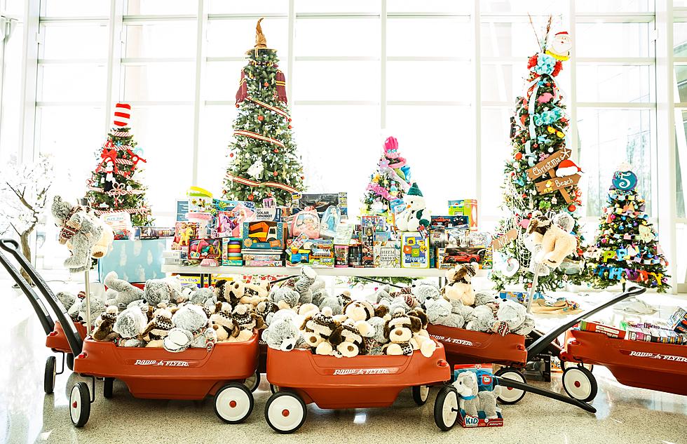 Shaking Out the Good Stuff — Express Employment Lafayette Holding Toy Drive to Benefit Foster the Love