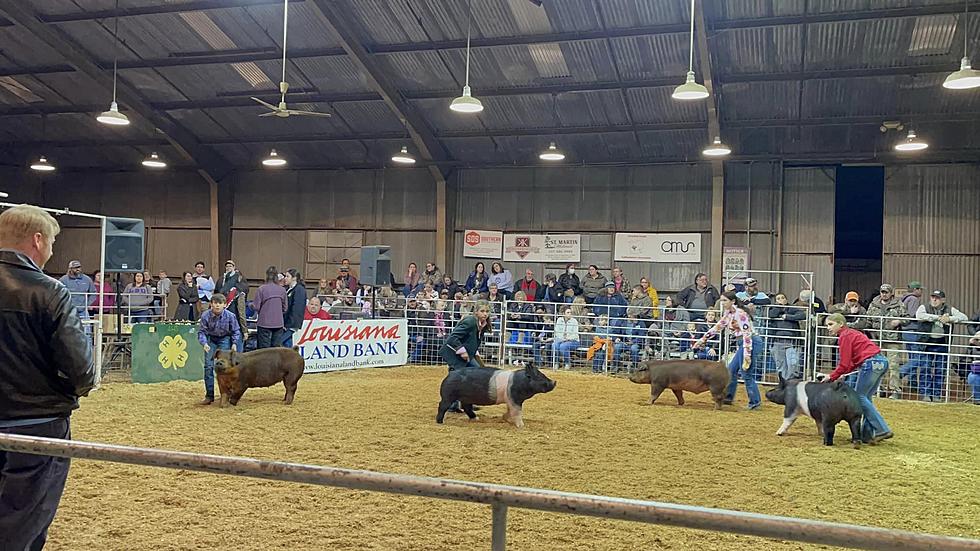 2024 Lafayette Parish Livestock Show is January 19-20 
