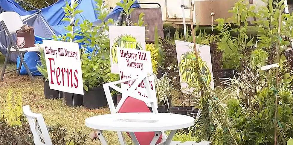 Plant Lovers, the Louisiana Nursery Festival is This Weekend