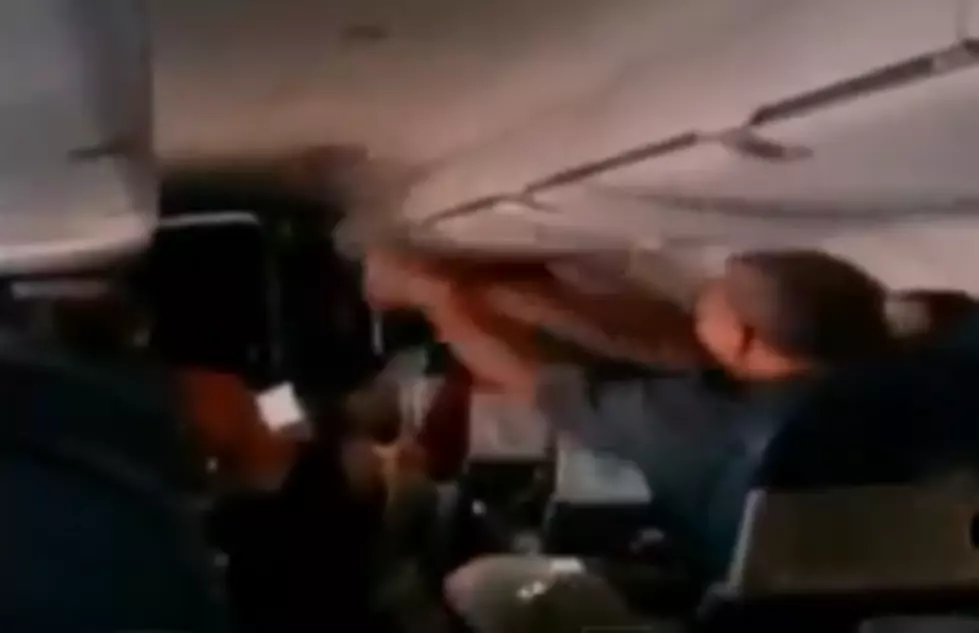Passengers Freakout For Bird On A Plane [VIDEO]