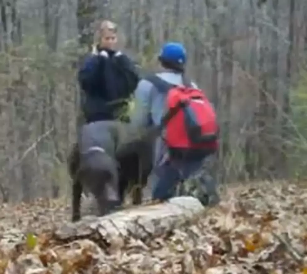 Dog Ruins Marriage Proposal [VIDEO]