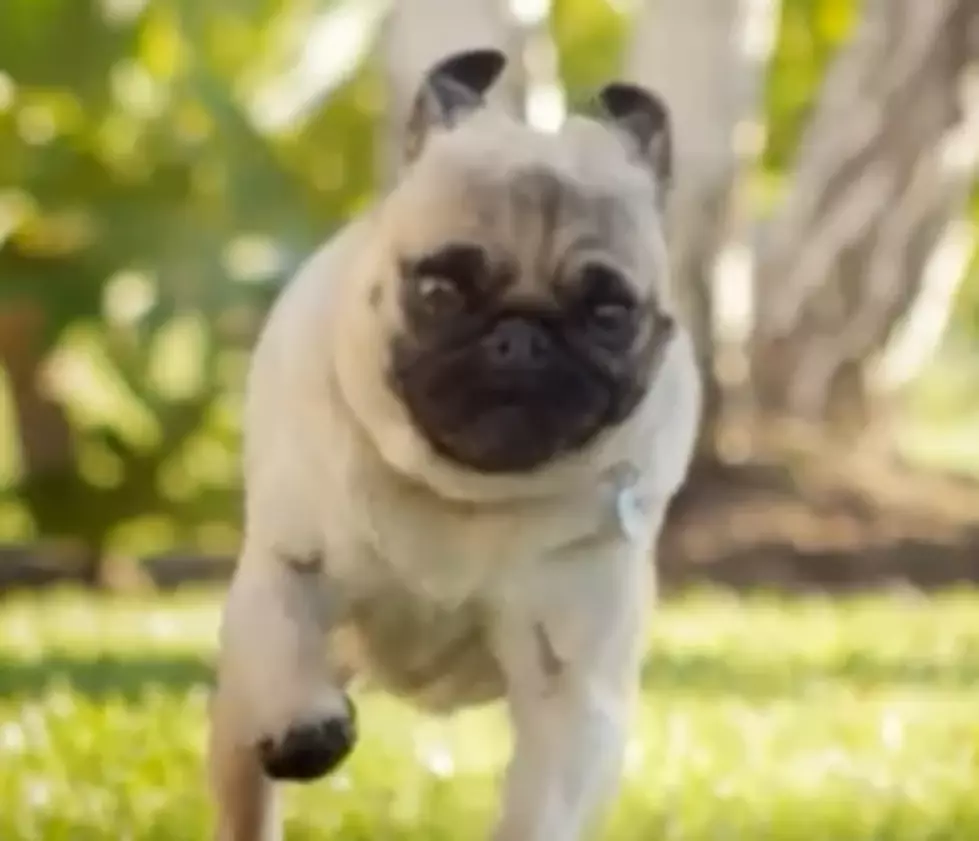 Some Of My All-Time Favorite Super Bowl Ads [VIDEOS]
