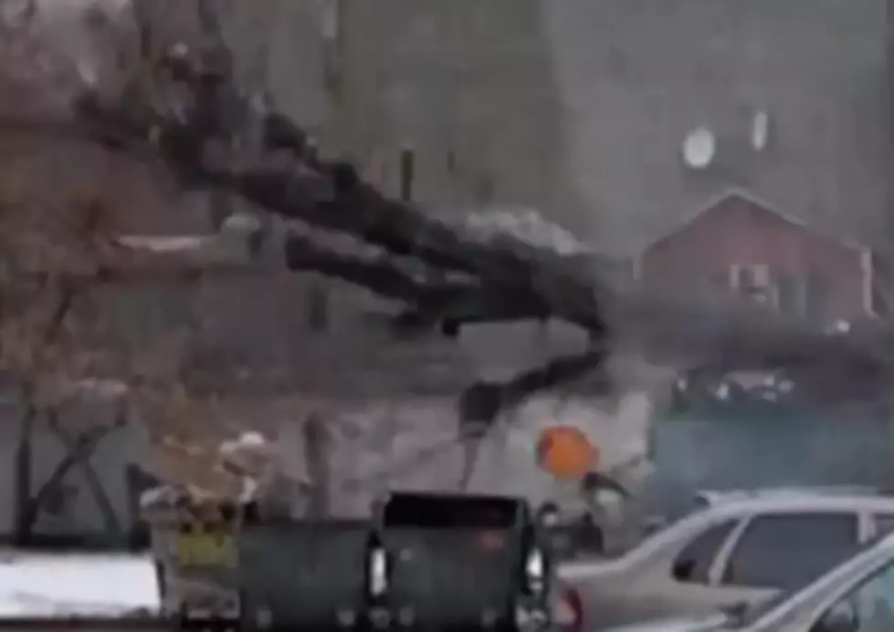 A Massive Tree Falls And Nearly Smashes A Woman [VIDEO]