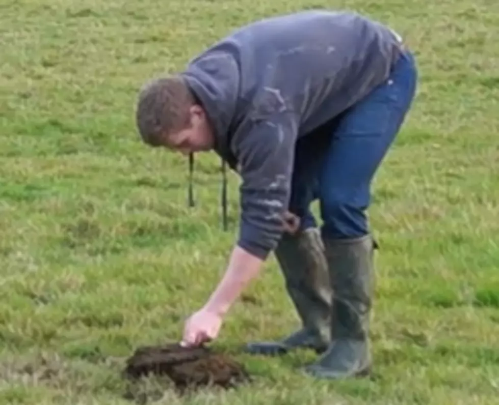 Hilarious Exploding Cow Poop Prank Gone Wrong [VIDEO]