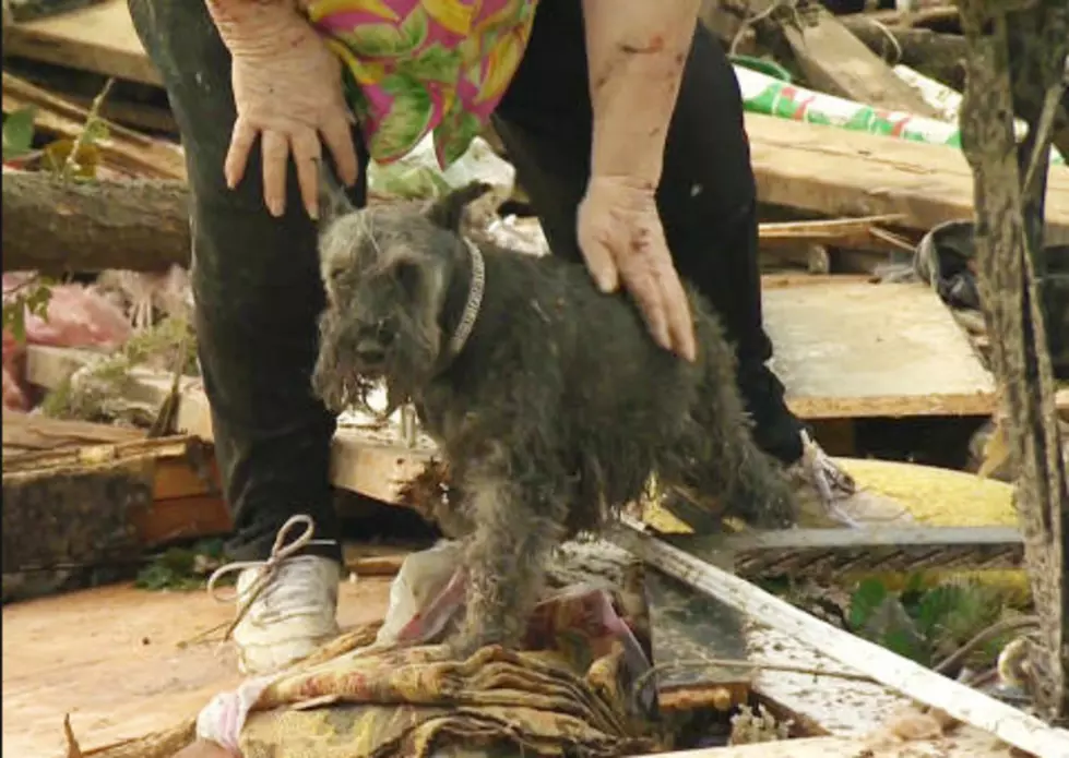 Woman Finds Dog Buried Under Tornado Rubble [VIDEO]