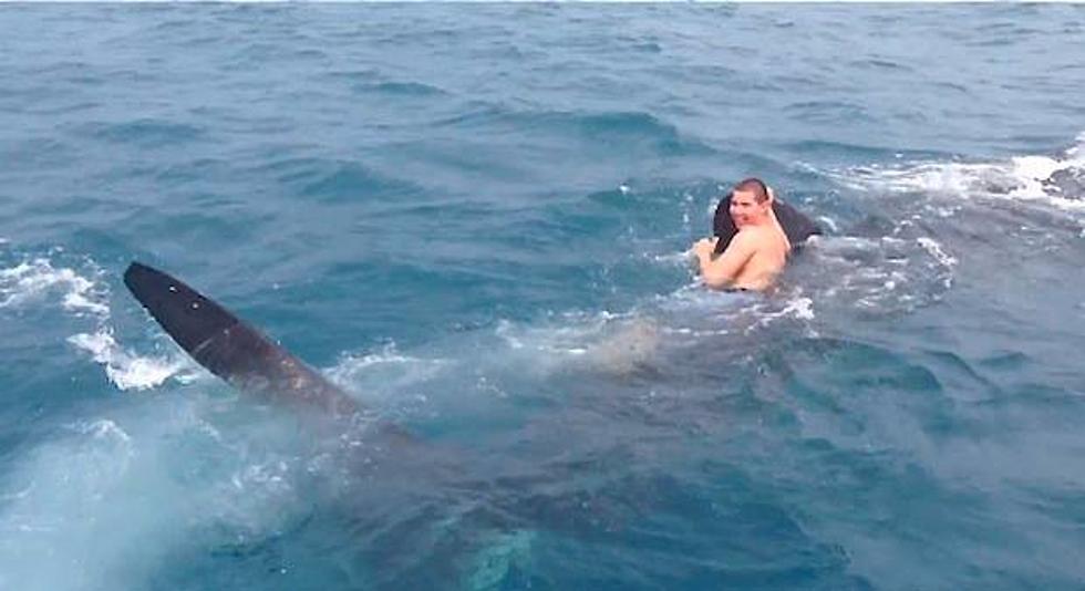 Teen Hitches Ride On Back Of 30-Foot Whale Shark [VIDEO]