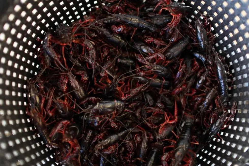 &#8216;THE CAJUN TEST&#8217; Aims To Separate The Real From The Fake, Once And For All