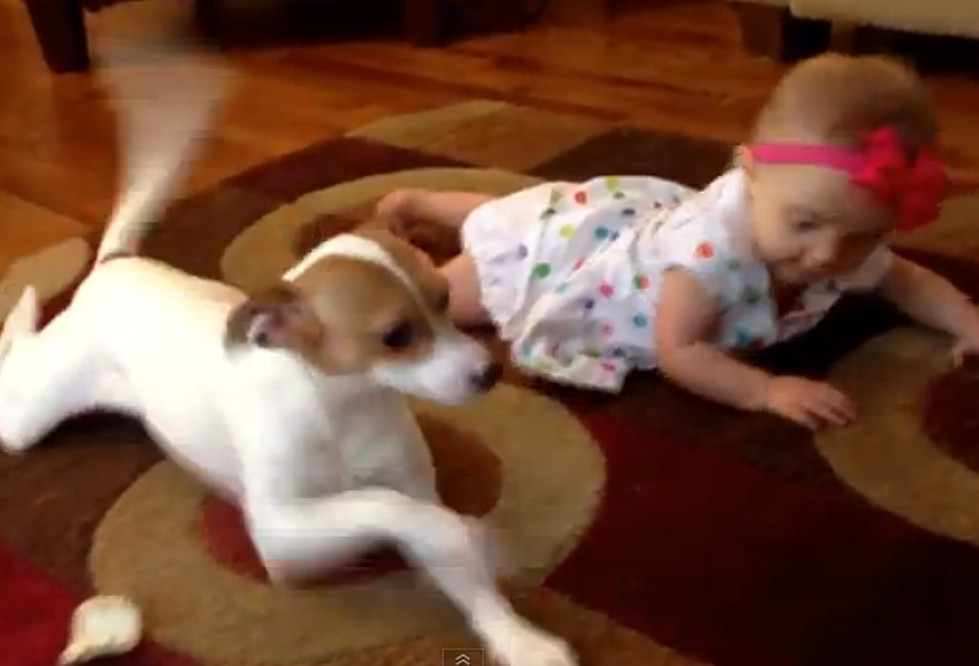 Puppy Attempts To Teach Baby How To Crawl [VIDEO]