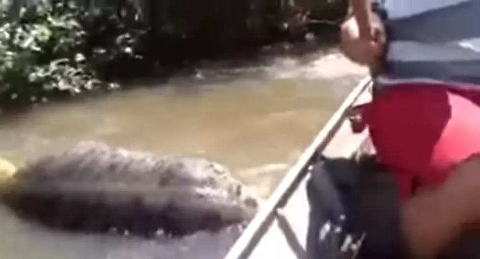 Guy Tries To Pull A Huge Anaconda In His Boat By Hand [VIDEO]