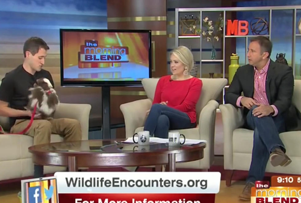 The Best News Bloopers of 2015 [VIDEO]