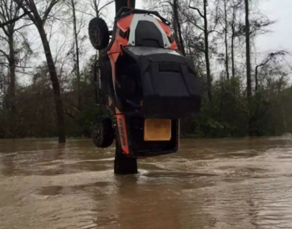 Man Hoists ATV From Tree To Escape Flood Water [VIDEO]