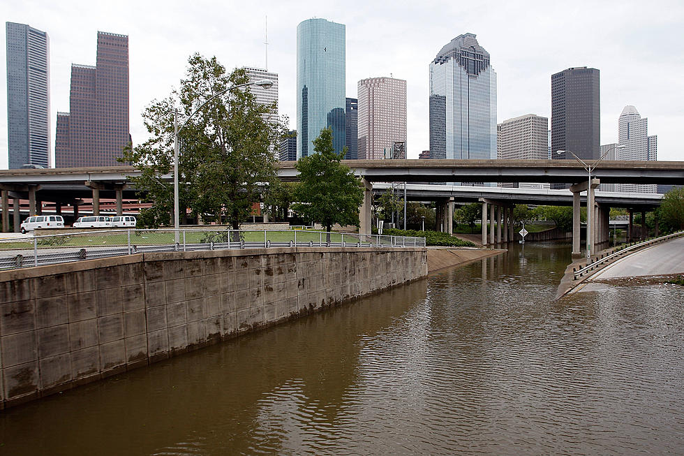Floods In Houston Brings Out Large Snake [PHOTO]