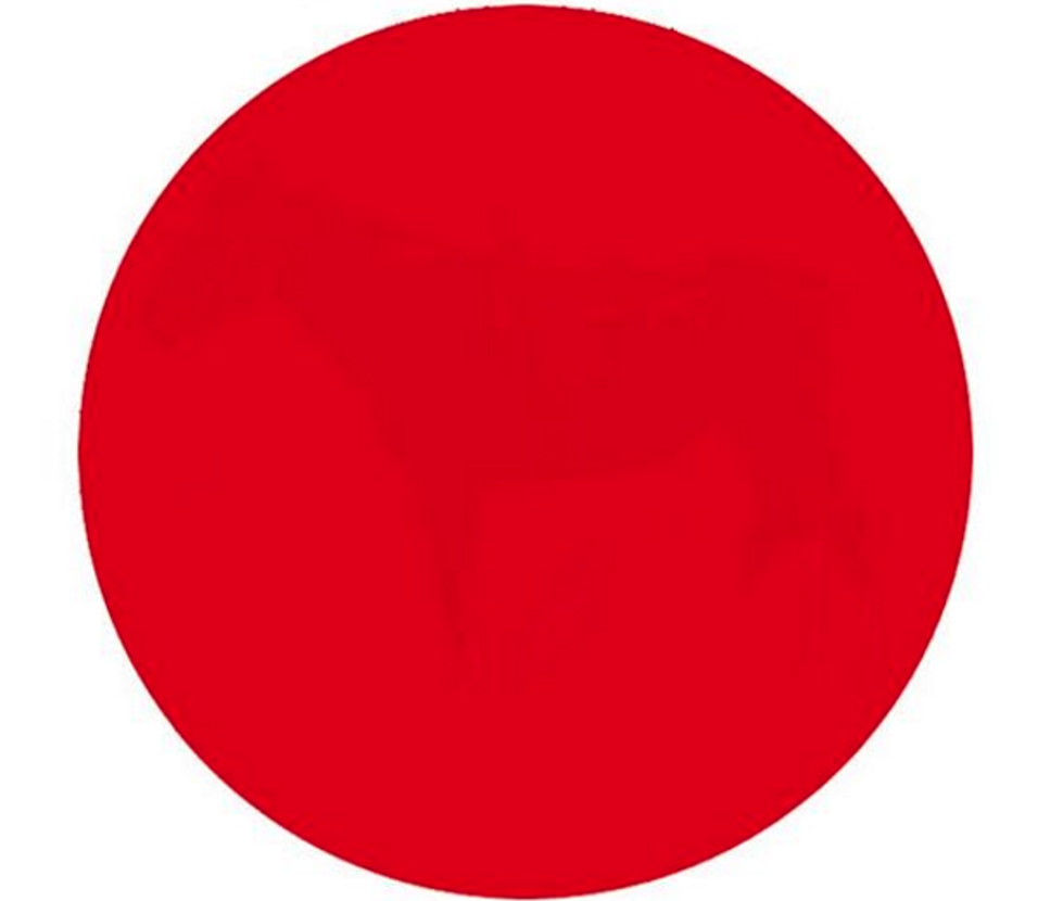 Red Dot Is Setting The Internet On Fire, Can You See It???