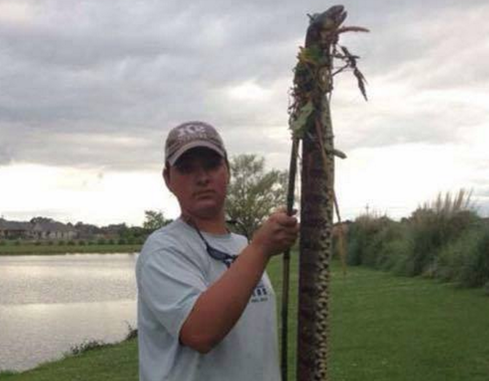 Huge Snake Reportedly Caught In Youngsville [PIC]