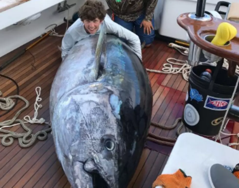 Lafayette Kid Reels In Massive Bluefin Tuna