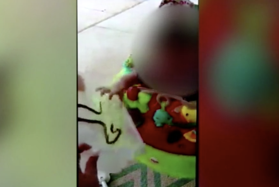 Florida Mom Intentionally Lets Snake Bite Her One-Year-Old Child [VIDEO]