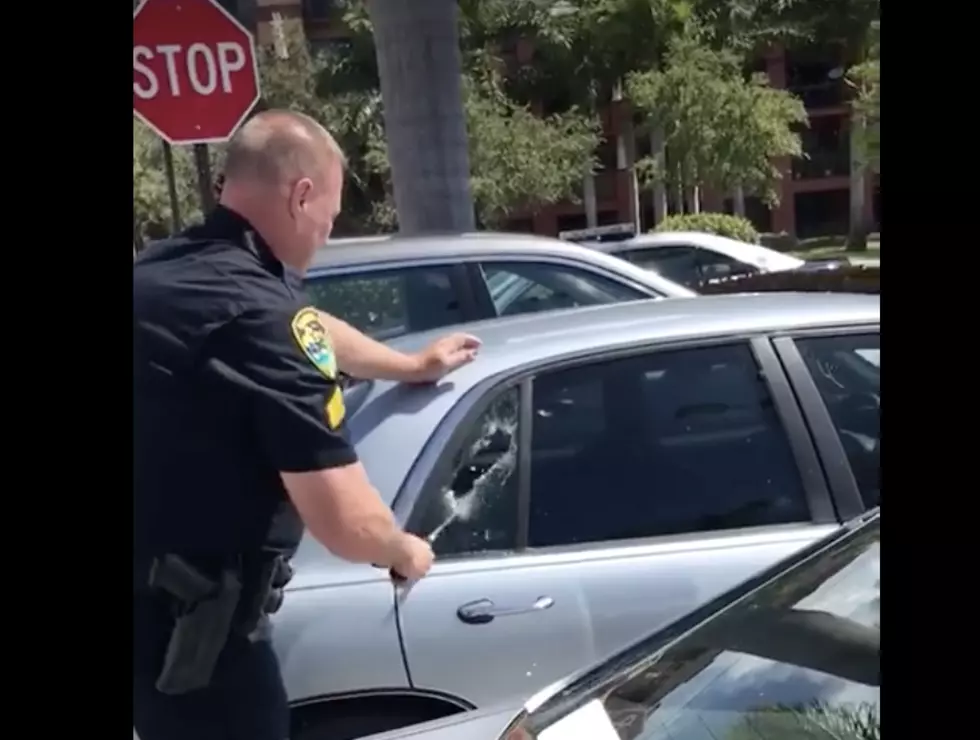 Police Issue A Harsh Warning After Rescuing Dog From Hot Car [Video]