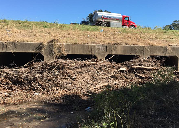 Photos Show Debris Blocking Drainage In Lafayette [View]