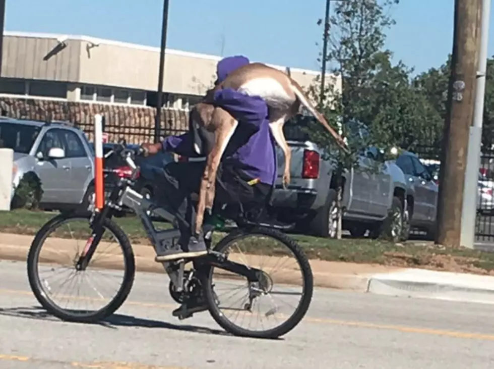 Man Rides Bike With Deer Over Shoulder [PHOTO]