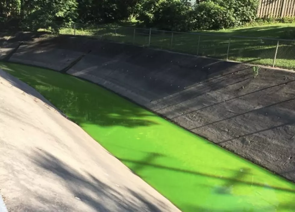 Lafayette Resident Spots Green Water In Coulee [PHOTO]