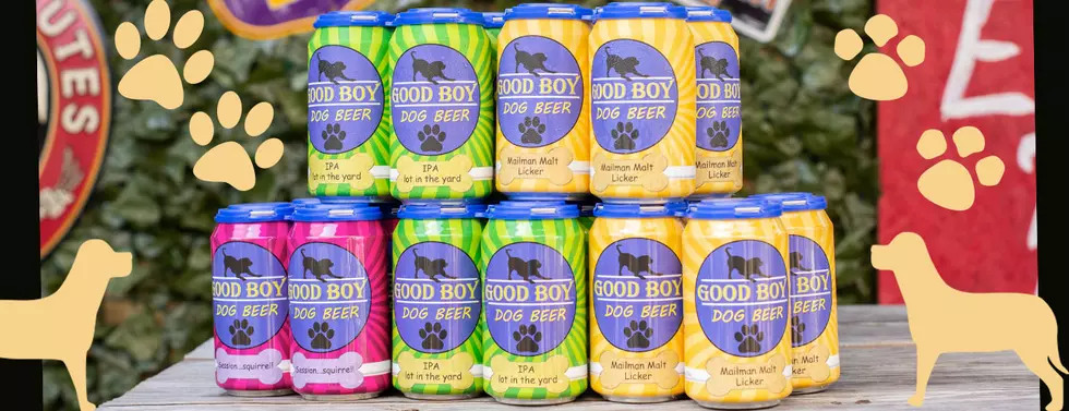 &#8216;Good Boy Dog Beer&#8217; Is Real &#038; Now You Can Have A Drink With Your Pup
