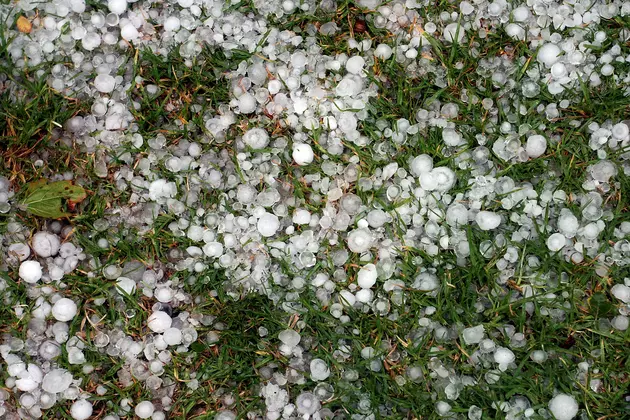 Folks In Texas Went The Distance To Protect Property From Hail [PHOTOS]