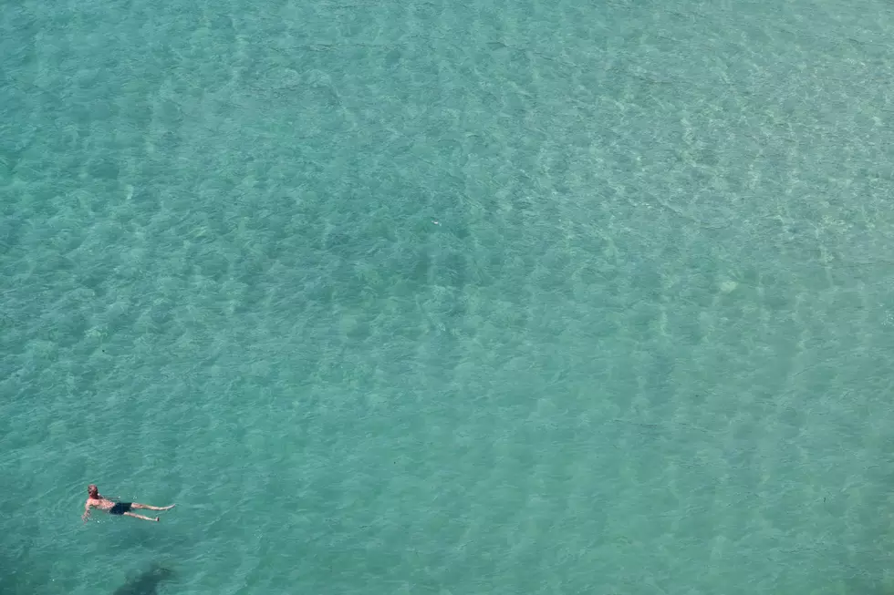 Incredible Video Shows Person Swimming In Gulf Next To Large Shark [VIDEO]