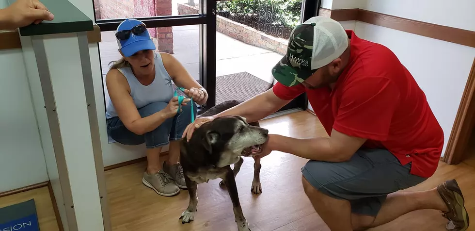 Lafayette Vet Reunites Dog With Family After 10 Years And We’re Not Crying, You’re Crying