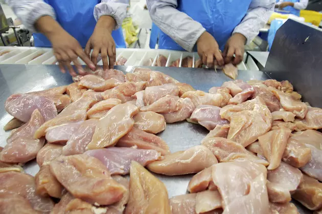 Raw Chicken Breast Appears To Walk-Off Table [VIDEO]