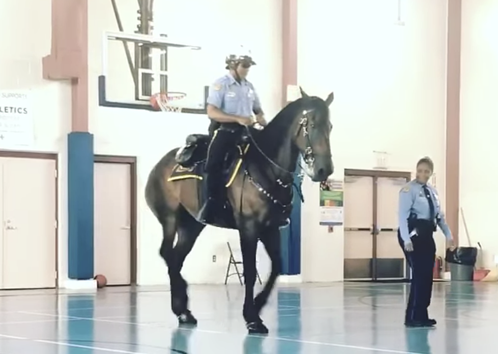 New Police Horse Does The ‘Cupid Shuffle’ [VIDEO]