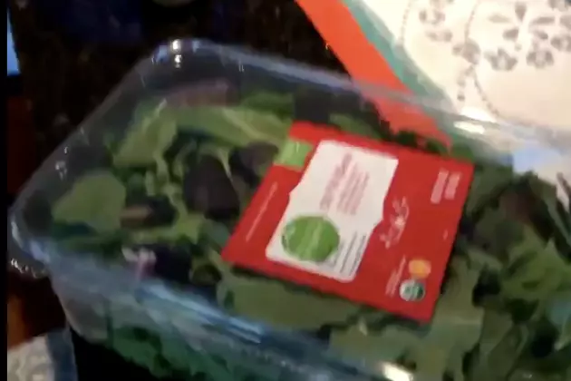 Woman Finds A Live Frog In Salad Mix [VIDEO]