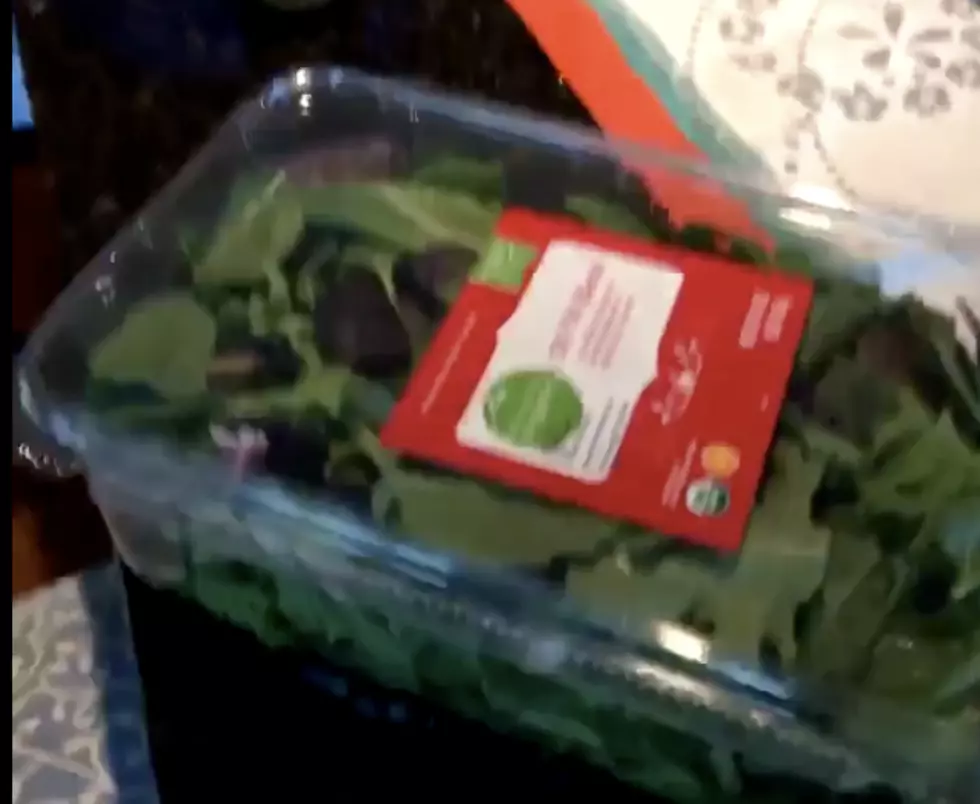Woman Finds A Live Frog In Salad Mix [VIDEO]