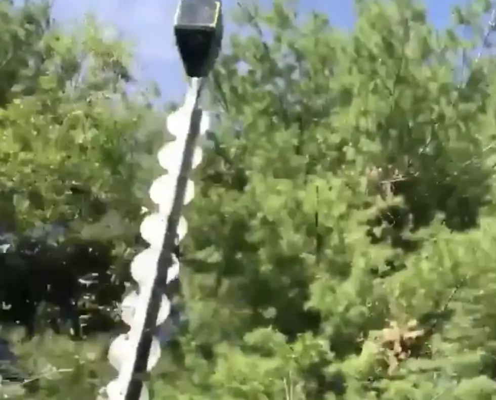‘Helicopter Chainsaw’ Trims Trees Near Powerlines [VIDEO]
