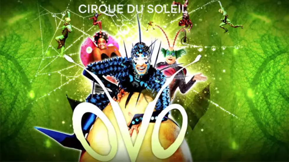 Get Your Cirque On!