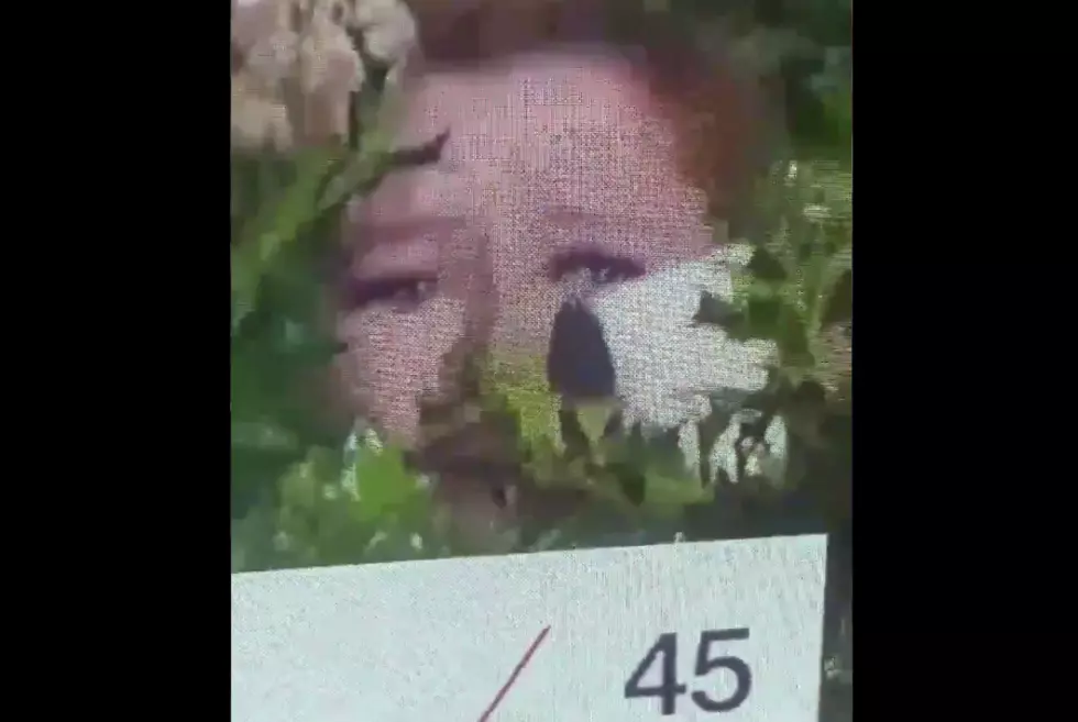 This Auburn Fan Got Stuck In The Bushes After The Iron Bowl And Twitter Couldn’t Stop Laughing