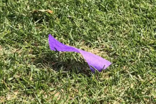 The Most Talked About Piece of Confetti in Louisiana