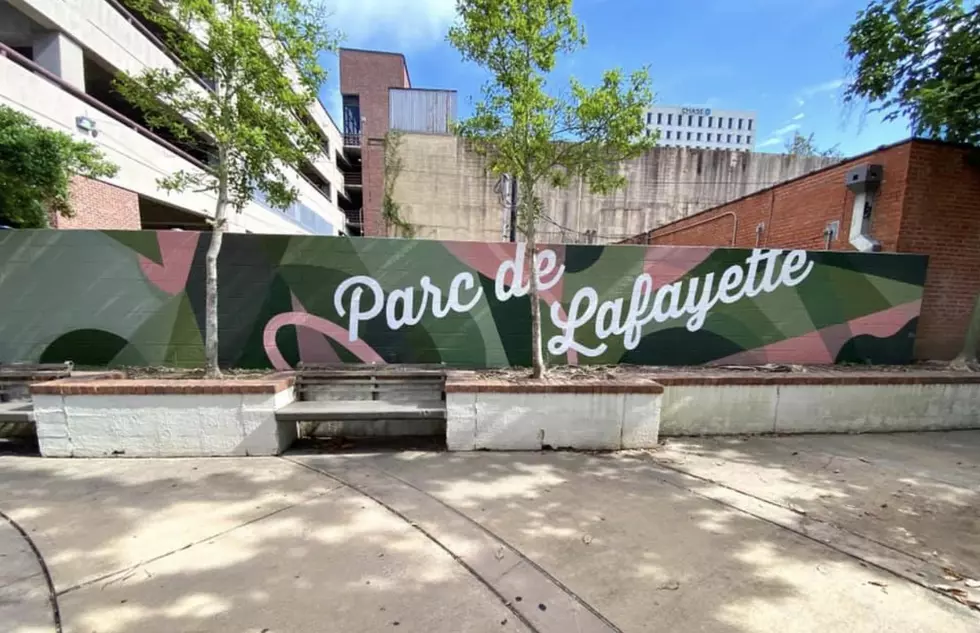 New Mural In Parc De Lafayette Breathes New Life Into The Downtown District