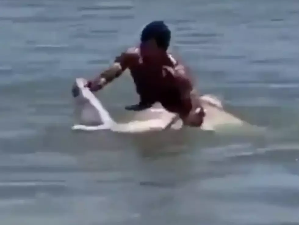 Man Catches Large Shark With Bare Hands [VIDEO]