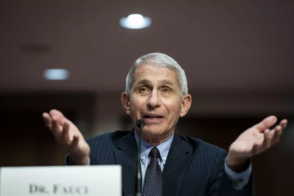 Dr. Anthony Fauci Has Covid, Symptoms Said to Be Mild