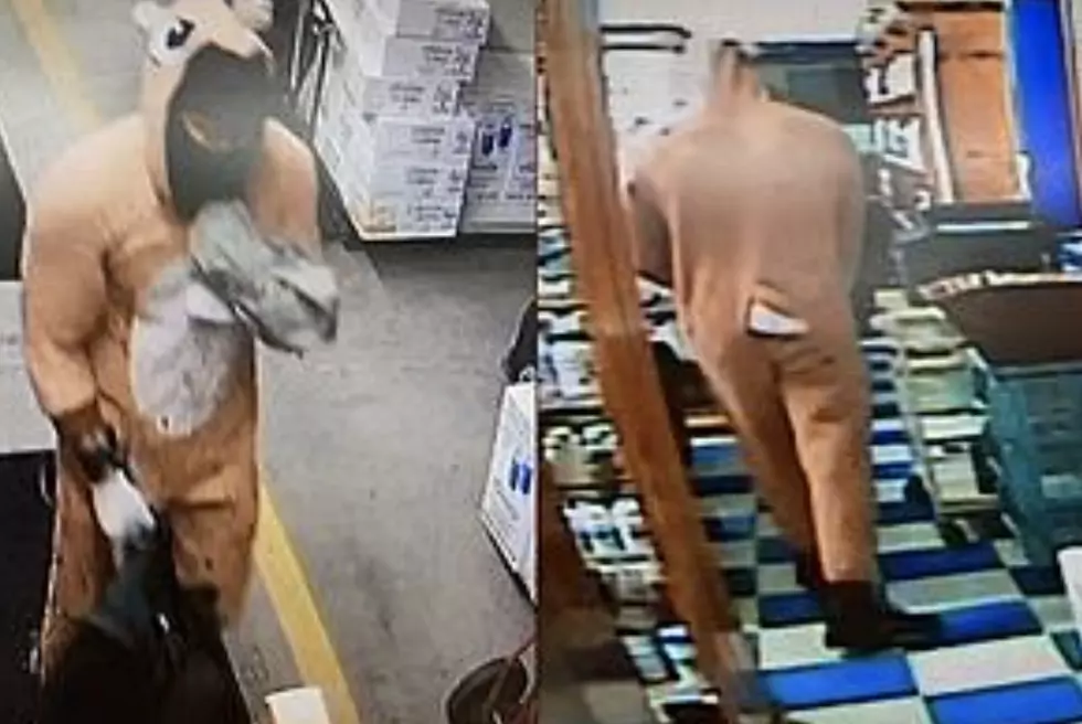 Evangeline Parish Deputies Looking For Person Who Robbed Pharmacy At Gunpoint In Chipmunk Suit
