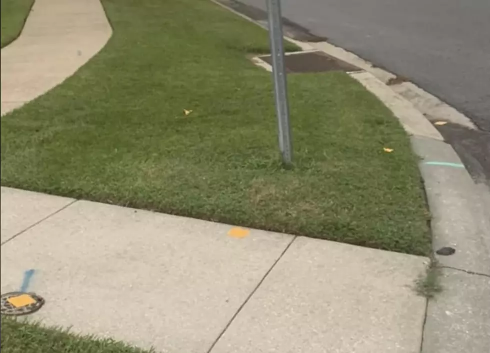 Youngsville Woman Looking For Kids Who Threw Cheese All Over Her Neighborhood and Vehicle