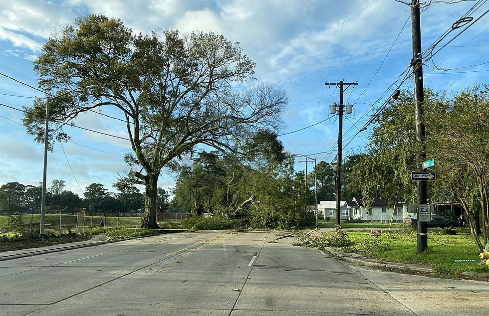 Moss St. & Mudd Ave. Both Blocked by Downed Trees in the Wake of Hurricane Delta