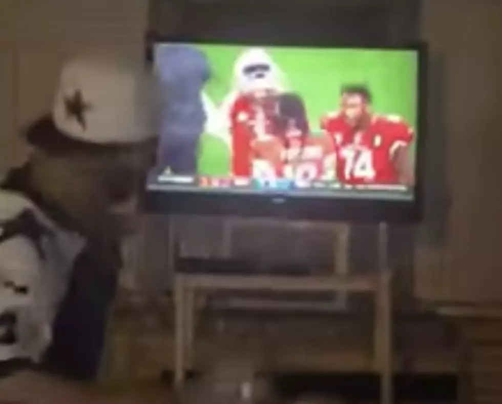 Dallas Cowboys Fan Throws Beer at TV, Then Punches It and Shoots It [VIDEO]
