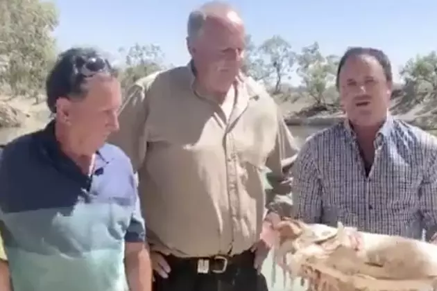 Politician in Australia Vomits While Holding Dead Fish [VIDEO]