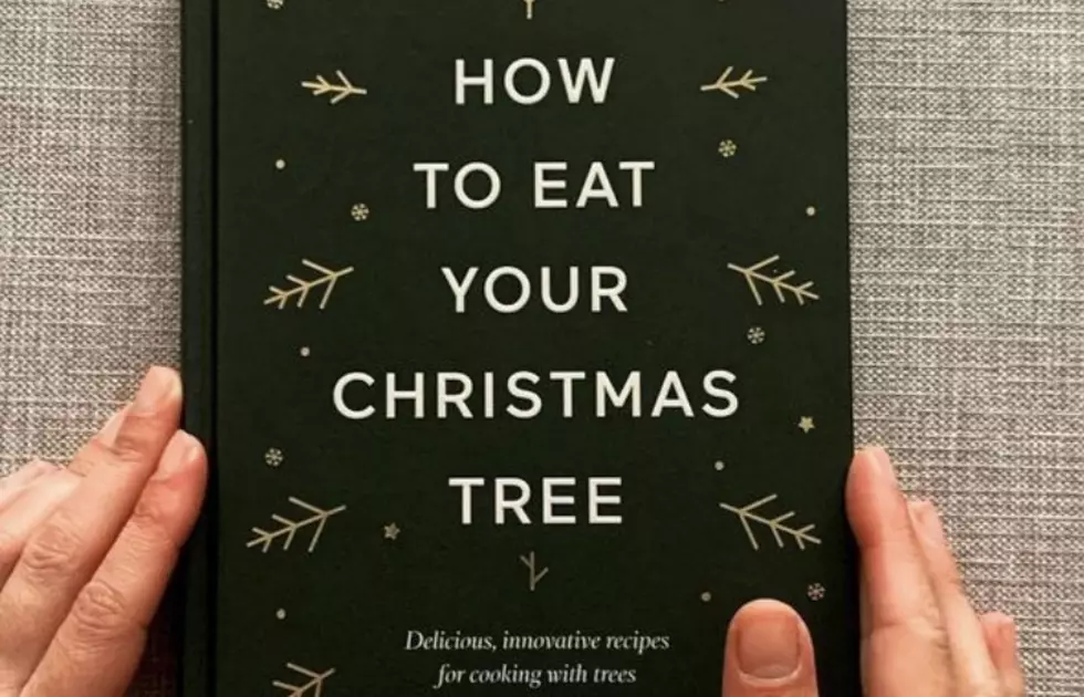 Cookbook Offers Up Recipes Using Your Live Christmas Tree