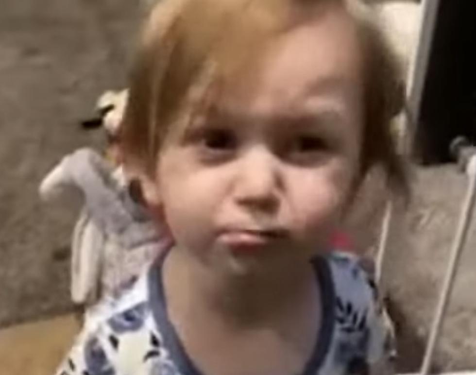 Watch As Toddler Describes What Her Daddy Does in Bathroom
