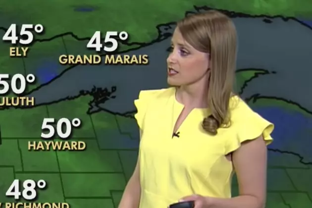 Hilarious Technical Glitch Has Meteorologist and Others Laughing Non-Stop [VIDEO]